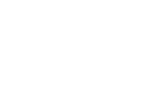 Y Schools Queensland logo
